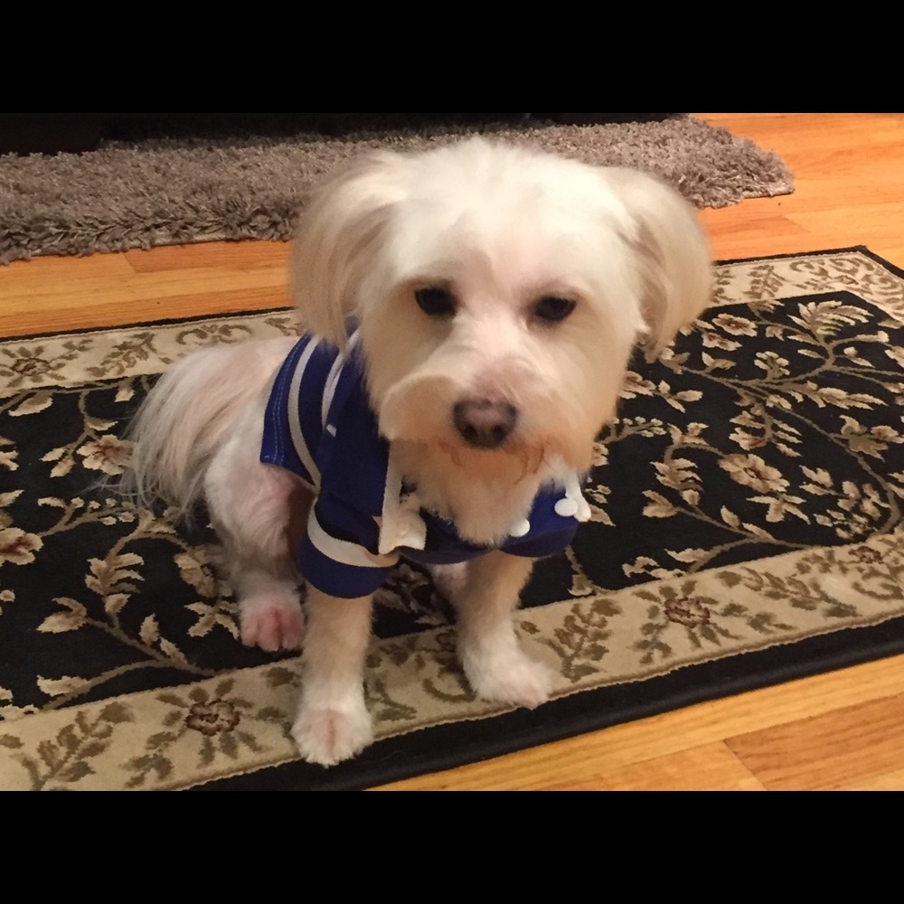 Meet your Posher, Julie